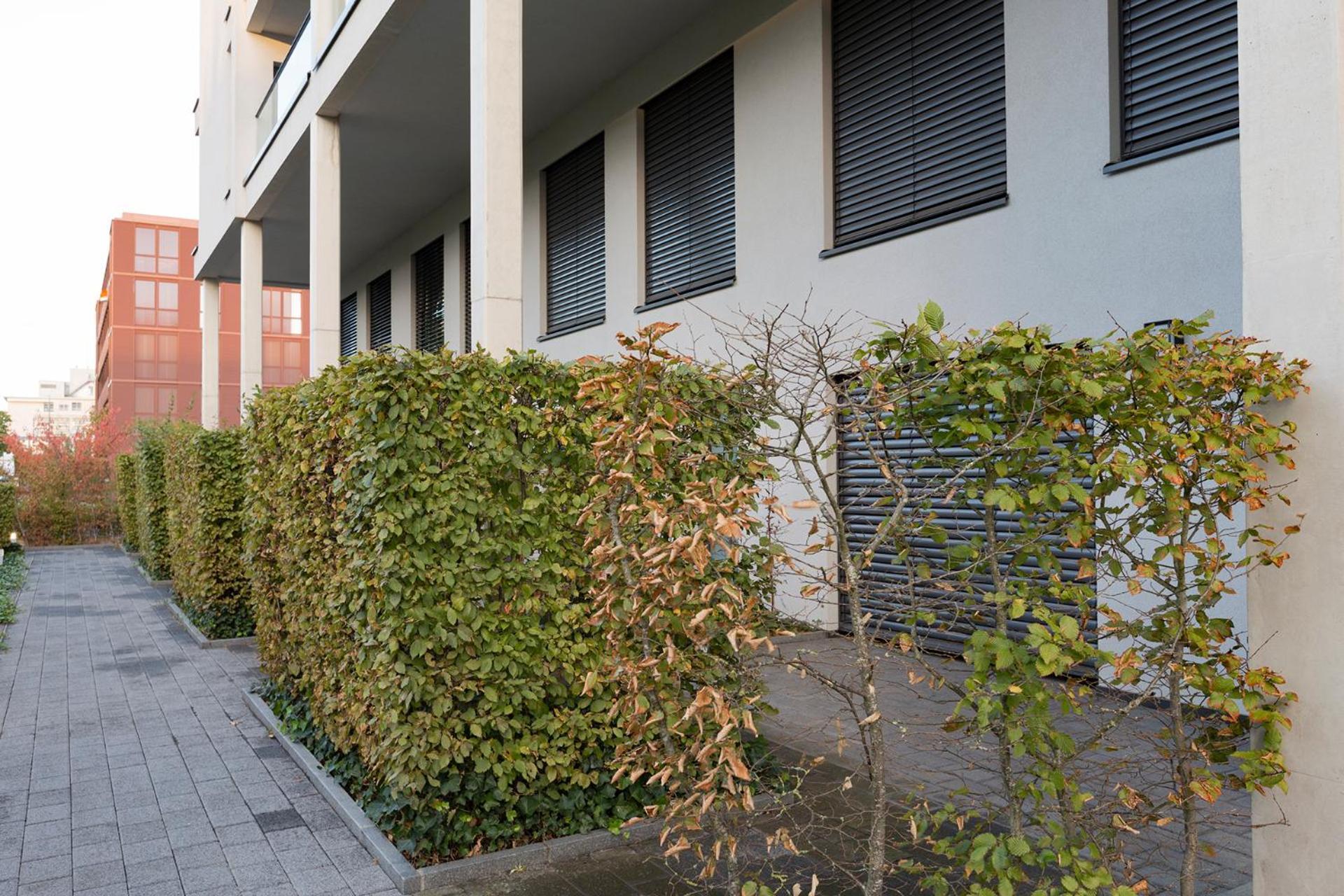 Apartment Doria *